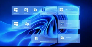 Windows 11: diseño profesional y moderno