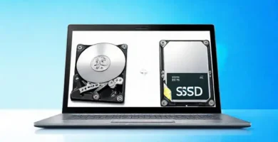 Esta ilustración compara laptops modernas y sus componentes