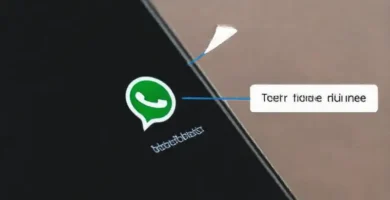 WhatsApp en Android: soporte técnico discreto