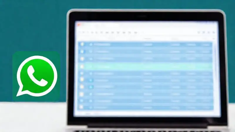 WhatsApp exporta chats de manera organizada