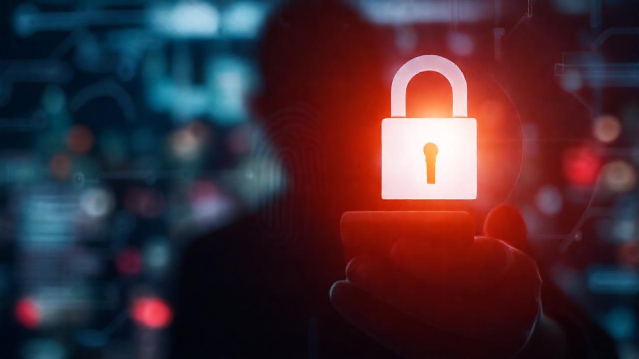 Seguridad digital: alerta y privacidad en riesgo