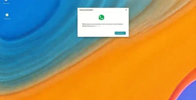 WhatsApp Web: soporte técnico visualizado