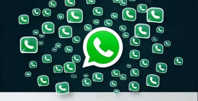 WhatsApp: tutorial de archivo digital completo